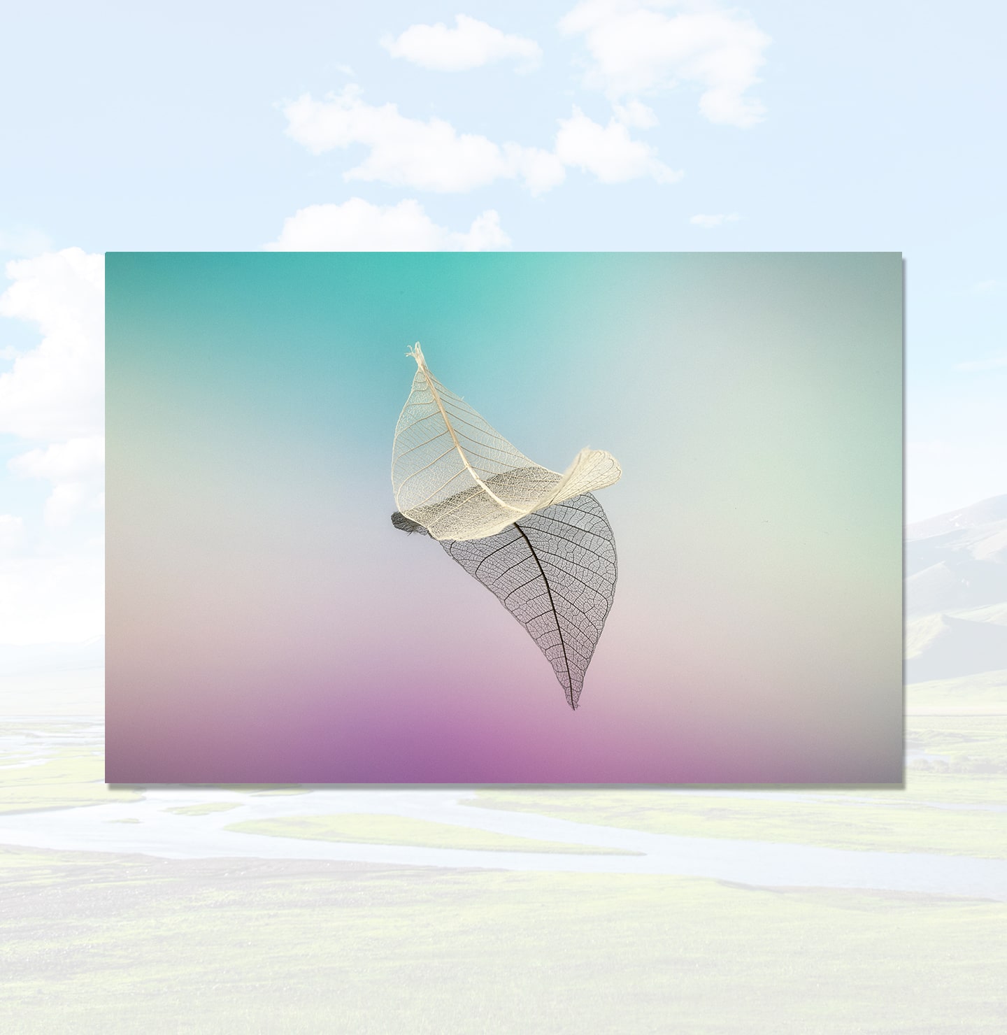 Compact-and-Lightweight-Design-1440x1480-min