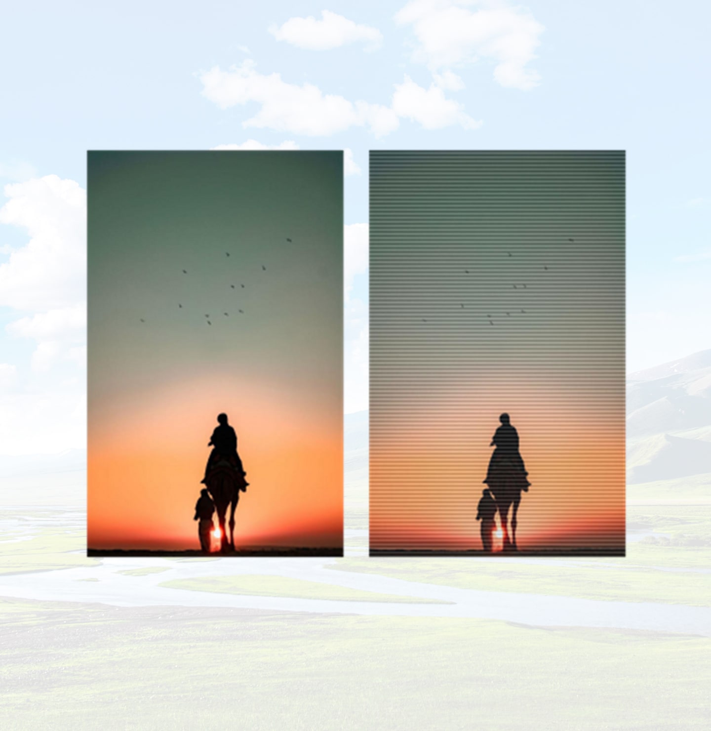 Unmatched-Transparency-1440x1480-min